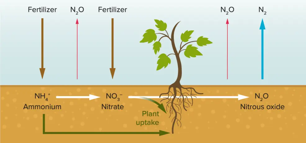 GHG e Protossido di azoto